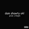 LUISPRODUCEDIT - Dam Shawty Ok! - Single